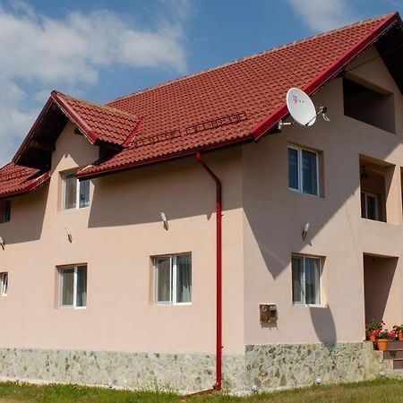 Pensiunea Aly Bumbesti Pitic Kültér fotó